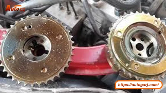 اعراض تلف الرواجز: كيف تتعرف على علامات التلف؟