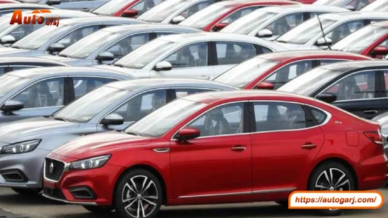 القانون الجديد لفك حظر سيارات المعاقين 2024: أهم التعديلات