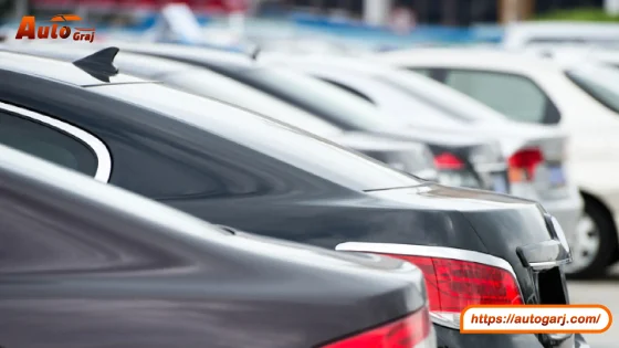 تجديد رخصة السيارة بالفحص 2024: كل ما تحتاج معرفته