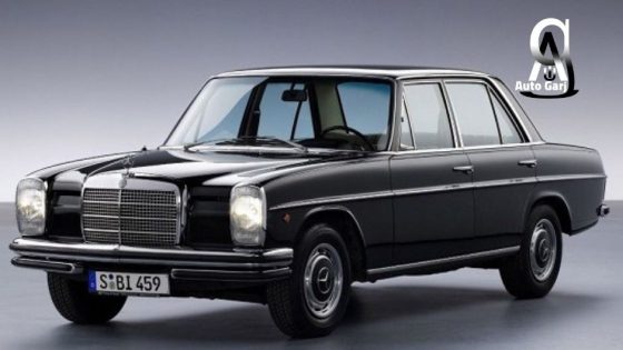 مرسيدس خنزيرة